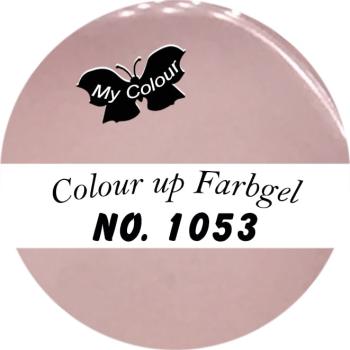 Farbgel Colour up  -1053
