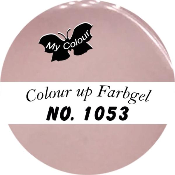Farbgel Colour up  -1053